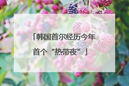 韩国首尔经历今年首个“热带夜”