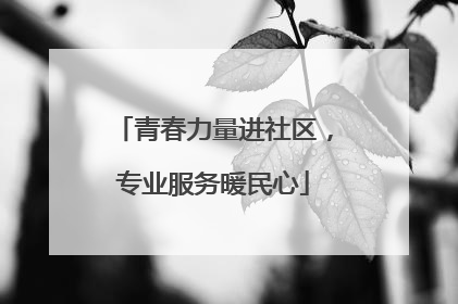 青春力量进社区，专业服务暖民心