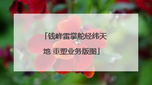 钱峰雷掌舵经纬天地 重塑业务版图