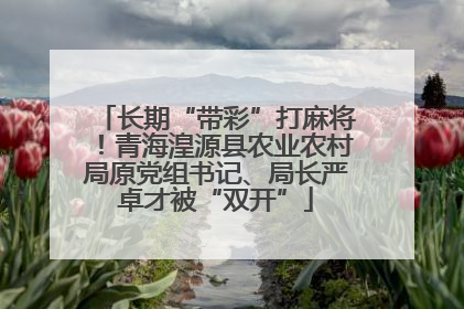 长期“带彩”打麻将！青海湟源县农业农村局原党组书记、局长严卓才被“双开”