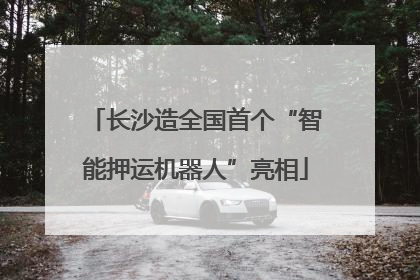 长沙造全国首个“智能押运机器人”亮相