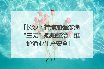 长沙：持续加强涉渔“三无”船舶整治，维护渔业生产安全