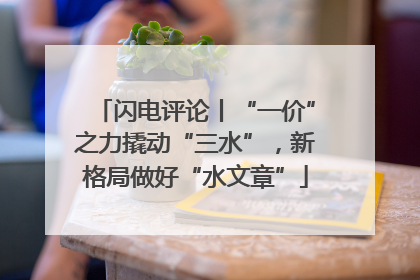 闪电评论丨“一价”之力撬动“三水”，新格局做好“水文章”