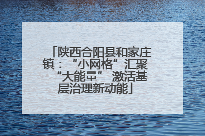 陕西合阳县和家庄镇：“小网格”汇聚“大能量” 激活基层治理新动能
