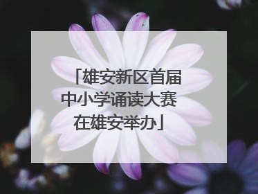 雄安新区首届中小学诵读大赛在雄安举办
