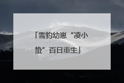 雪豹幼崽“凌小蛰”百日重生