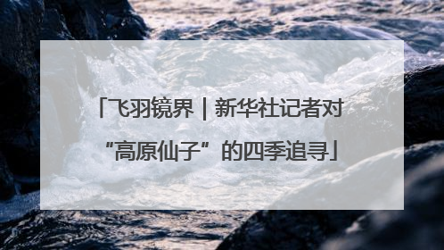 飞羽镜界｜新华社记者对“高原仙子”的四季追寻