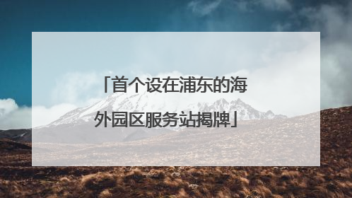 首个设在浦东的海外园区服务站揭牌