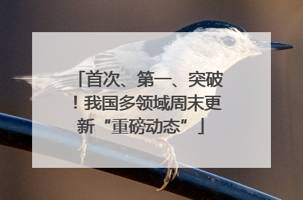 首次、第一、突破！我国多领域周末更新“重磅动态”