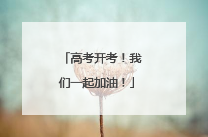 高考开考！我们一起加油！