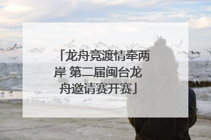 龙舟竞渡情牵两岸 第二届闽台龙舟邀请赛开赛