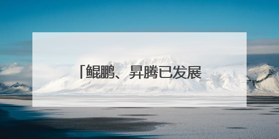 鲲鹏、昇腾已发展超665万开发者，今年将进一步开放