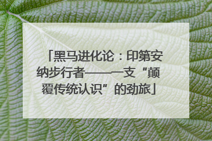黑马进化论：印第安纳步行者——一支“颠覆传统认识”的劲旅