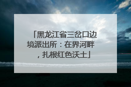 黑龙江省三岔口边境派出所：在界河畔，扎根红色沃土