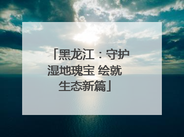 黑龙江：守护湿地瑰宝 绘就生态新篇