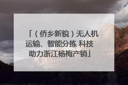 （侨乡新貌）无人机运输、智能分拣 科技助力浙江杨梅产销