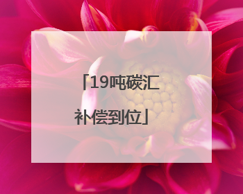 19吨碳汇补偿到位