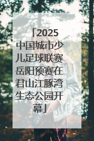 2025中国城市少儿足球联赛岳阳预赛在君山江豚湾生态公园开幕