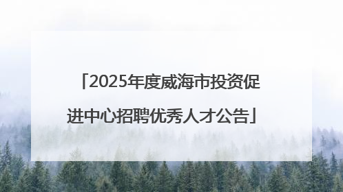 2025年度威海市投资促进中心招聘优秀人才公告