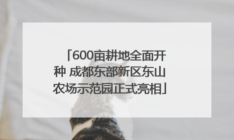 600亩耕地全面开种 成都东部新区东山农场示范园正式亮相
